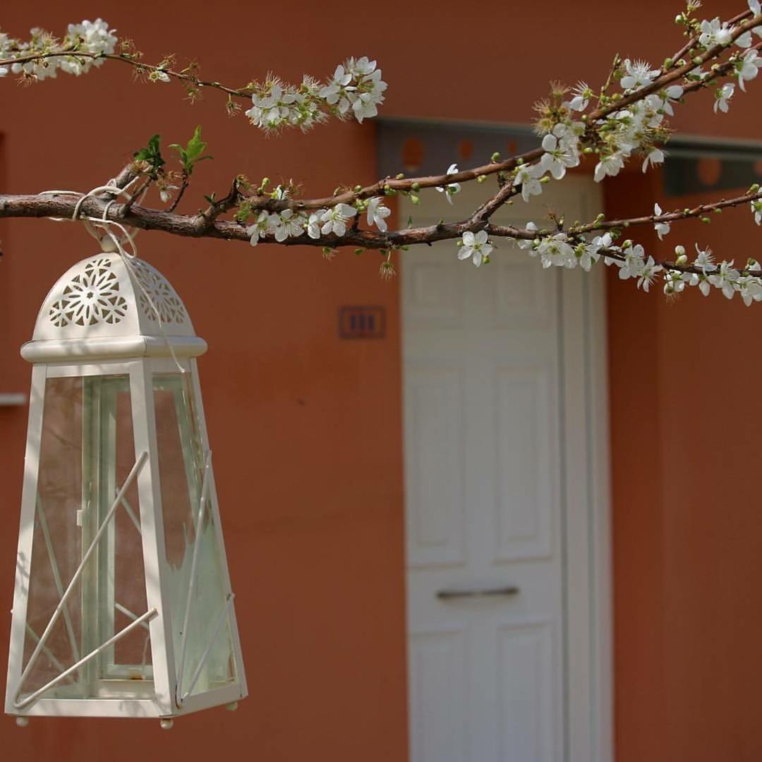 Thalassa Hotel & Spa Paleros Εξωτερικό φωτογραφία