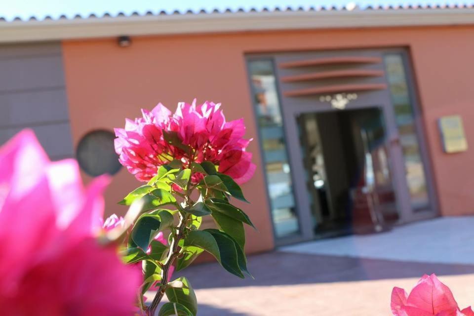 Thalassa Hotel & Spa Paleros Εξωτερικό φωτογραφία