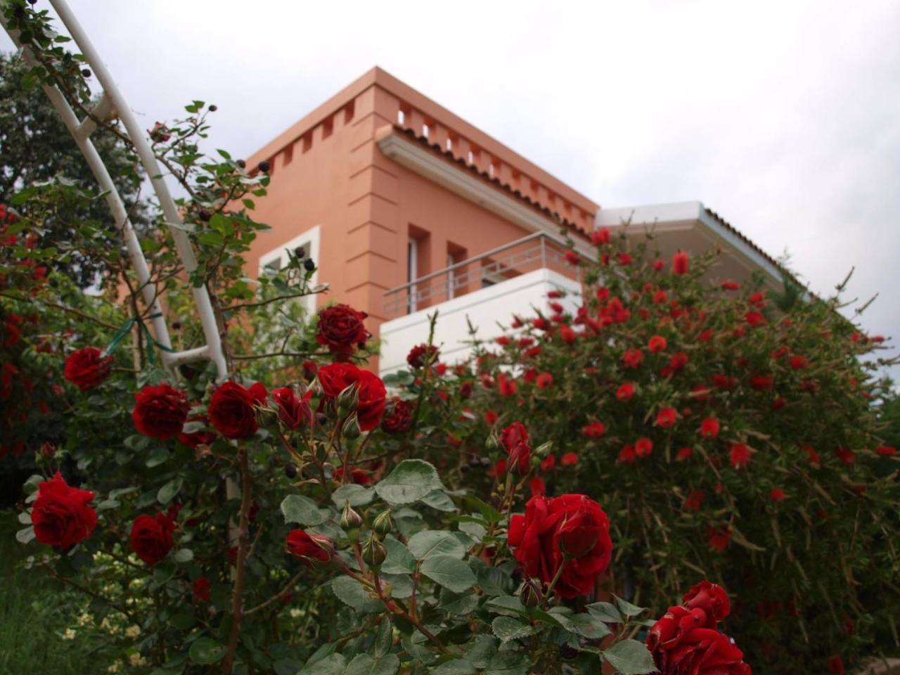 Thalassa Hotel & Spa Paleros Εξωτερικό φωτογραφία