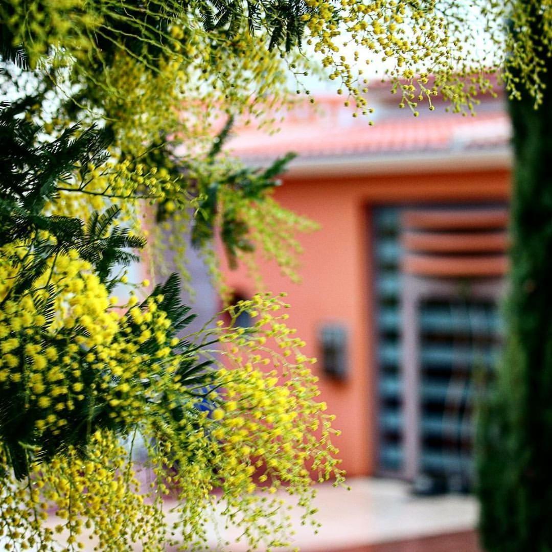 Thalassa Hotel & Spa Paleros Εξωτερικό φωτογραφία